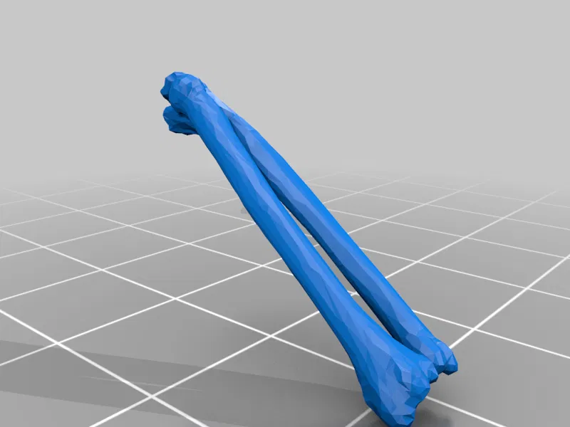 Mô hình Bộ xương Người có thể tạo dáng - Tỷ lệ 1/10 - Image 29