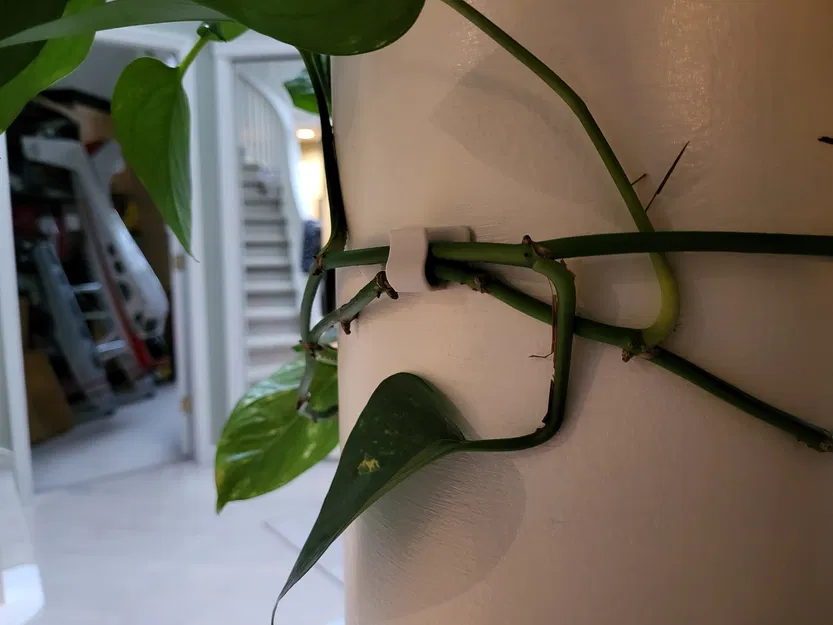 Kẹp Cây Cho Bề Mặt Cong (Có File Fusion 360) - Image 1