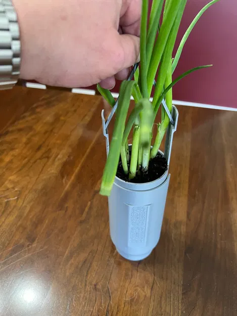 Chậu Trồng Rau Thơm & Cây Mọng Nước Để Bệ Cửa Sổ - Image 1