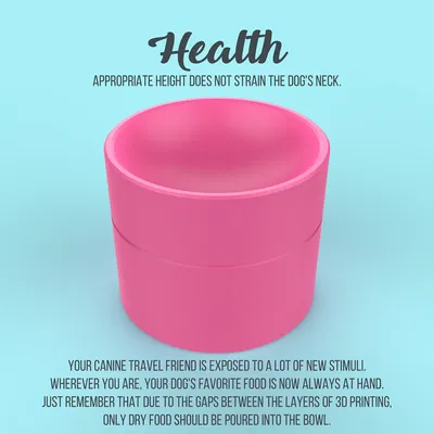 Tô Du Lịch Cho Chó 2 Trong 1: Tiện Lợi Cho Mọi Cuộc Phiêu Lưu