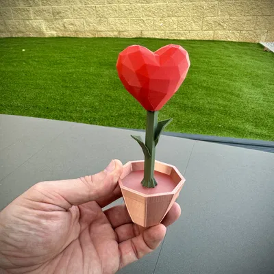 Mô hình 3D Trái Tim Nở Hoa "Heart Blooming"