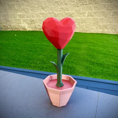 Mô hình 3D Trái Tim Nở Hoa "Heart Blooming"