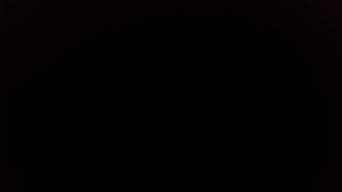 Đế Điện Thoại Hình Con Rùa - Image 1