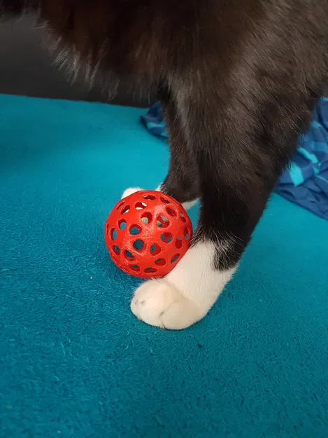 Đồ Chơi Cho Mèo - Bóng Có Lỗ 60mm - Image 1