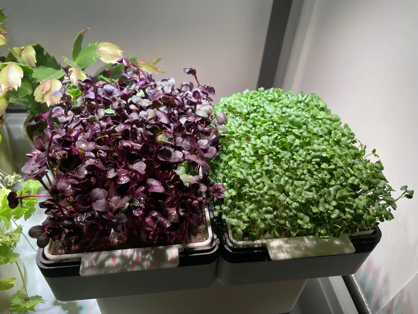 Khay Ươm Rau Mầm Siêu Nhỏ - Image 1