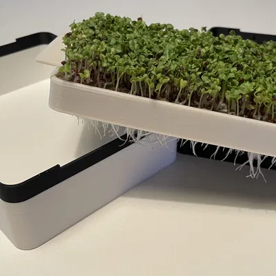Khay Ươm Rau Mầm Siêu Nhỏ