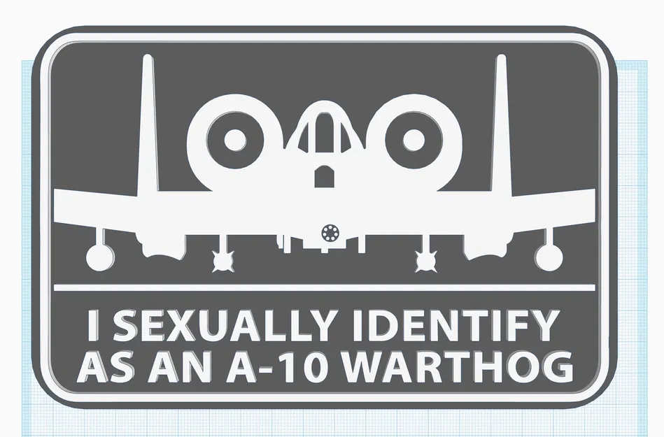 Biển A-10: "Tôi xác định giới tính là A-10 Warthog" - Image 1