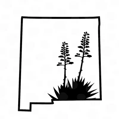 Tạo hình New Mexico đơn giản