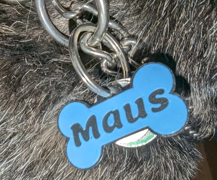 Thẻ Bài Cho Chó (Dog Tag) - Image 1