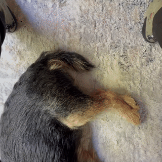 Bộ Chuyển Số Fidget Nam Châm