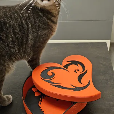 Hộp Tình Yêu (Valentine)