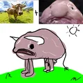 Bò Blobfish - Thumbnail 2