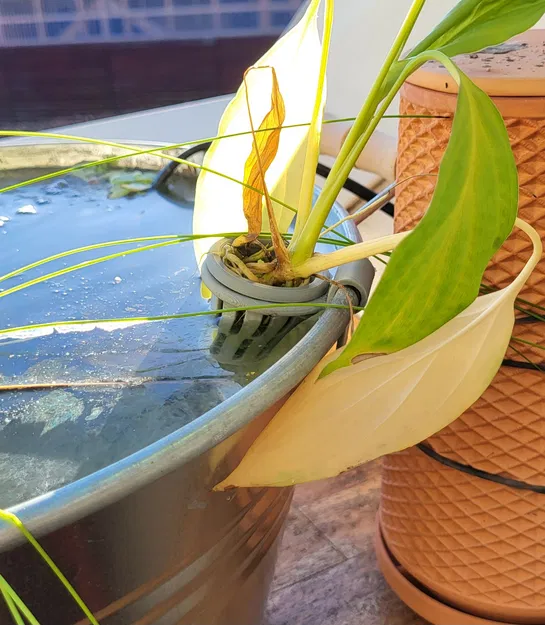 Chậu Trồng Cây Thủy Sinh Cho Hồ Cá Tinc Tub - Image 1