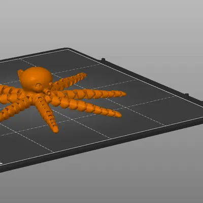 Bạch tuộc - dài