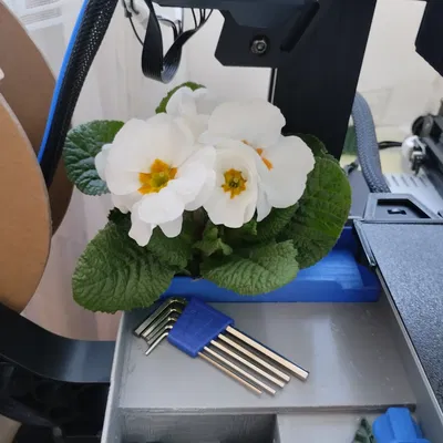 Hộp dụng cụ và Gạt tàn Kobra 2 neo hoặc Gạt tàn lớn