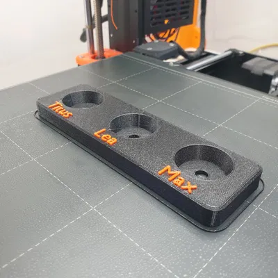 Khay Đựng Xương Rồng Mini