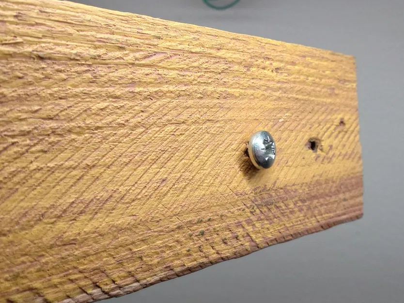 Nắp chụp ốc nhà chim - Image 3