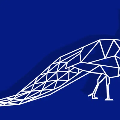 Chim Công Hình Học