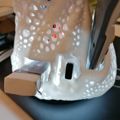 Kệ Bút Hình San Hô Voronoi