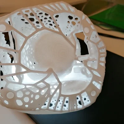 Kệ Bút Hình San Hô Voronoi