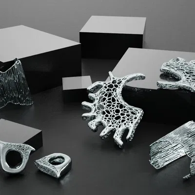 RAIZ - Trang Sức với Hoa Văn Voronoi