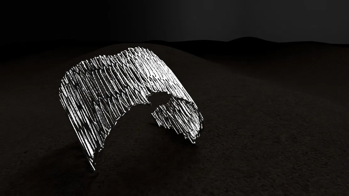 RAIZ - Trang Sức với Hoa Văn Voronoi - Image 2