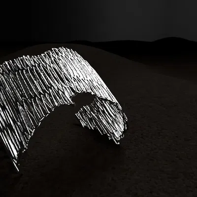 RAIZ - Trang Sức với Hoa Văn Voronoi