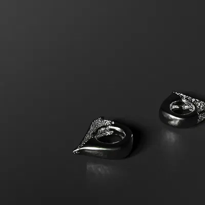 RAIZ - Trang Sức với Hoa Văn Voronoi