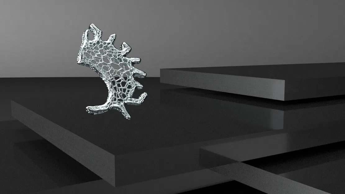 RAIZ - Trang Sức với Hoa Văn Voronoi - Image 4