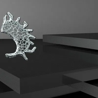 RAIZ - Trang Sức với Hoa Văn Voronoi