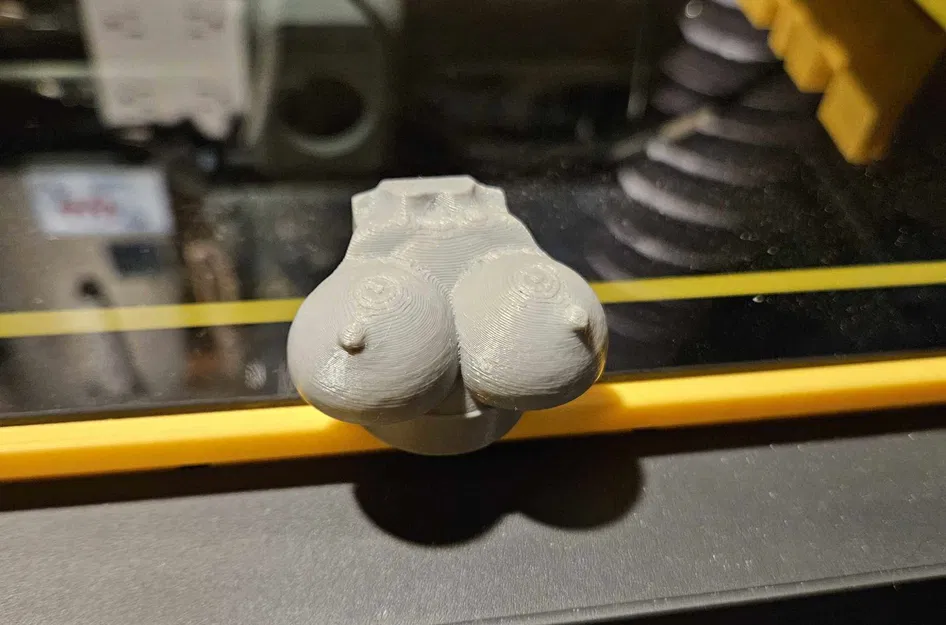 Tay Nắm Nắp Bambu Labs - Bamboob Labs - Image 1