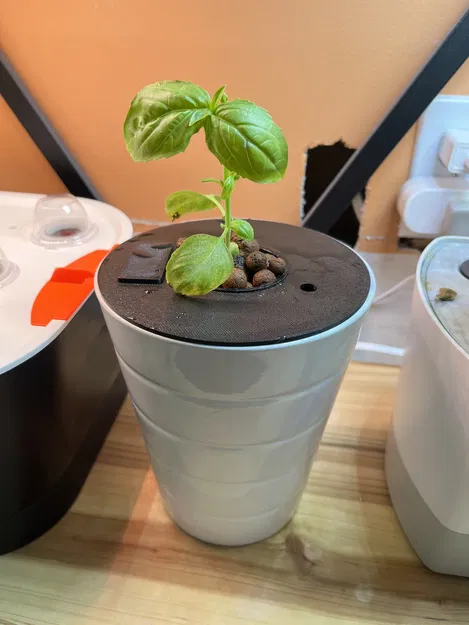 Đế Trồng Rau Thủy Canh DWC / Kratky Có Cửa Sổ Châm Nước - Image 1