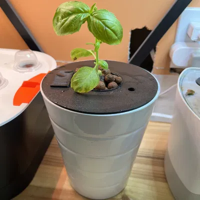 Đế Trồng Rau Thủy Canh DWC / Kratky Có Cửa Sổ Châm Nước