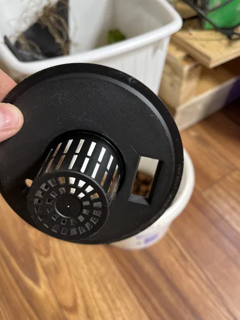 Đế Trồng Rau Thủy Canh DWC / Kratky Có Cửa Sổ Châm Nước - Image 3