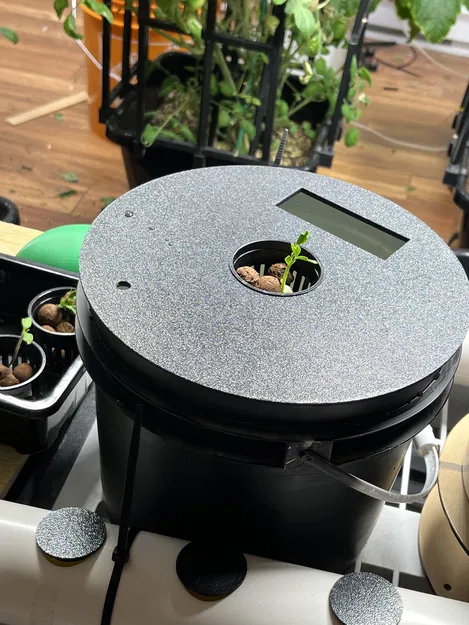 Đế Trồng Rau Thủy Canh DWC / Kratky Có Cửa Sổ Châm Nước - Image 4