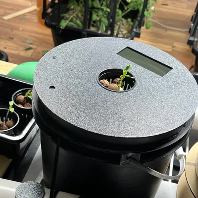 Đế Trồng Rau Thủy Canh DWC / Kratky Có Cửa Sổ Châm Nước