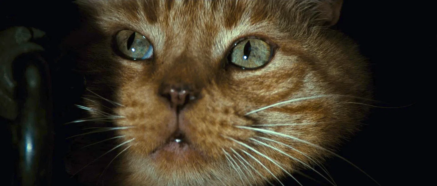 Mô hình 3D Jonesy & Xenomorph Mini - Image 2