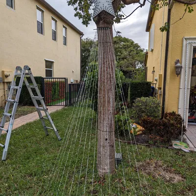 Giá đỡ thân cây Pixel Hạt giống