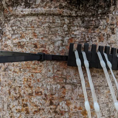 Giá đỡ thân cây Pixel Hạt giống