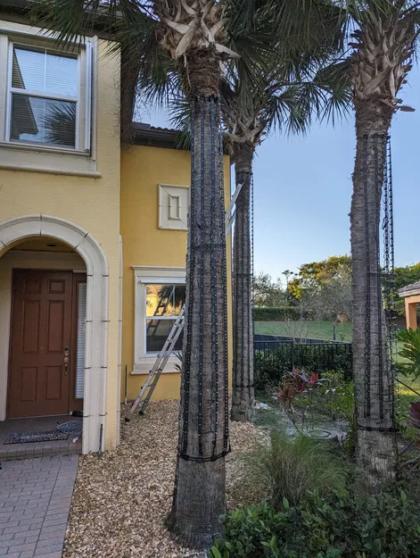 Giá Đỡ Dải Đèn Pixel Gắn Cây - Image 4