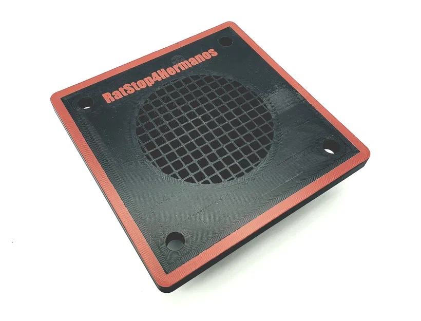 Chuột Dừng Lại và Thử Nghiệm Filament - Image 1