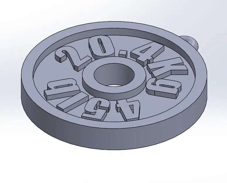 Móc Chìa Khóa Tạ Đĩa 45Lb "Gym" - Image 1