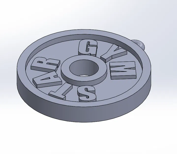 Móc Chìa Khóa Tạ Đĩa 45Lb "Gym" - Image 2