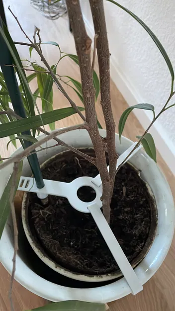 Chân Cố Định Cọc Chống Cây - Image 1