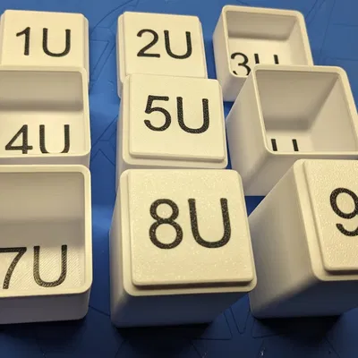 Hộp Gridfinity 1x1 Đa Màu Cho Thử Nghiệm Chiều Cao