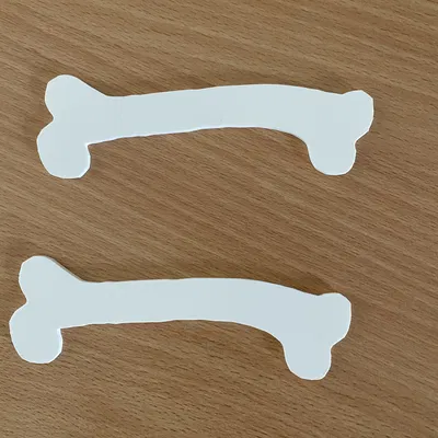 Xương Cho Trang Phục