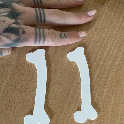 Xương Cho Trang Phục