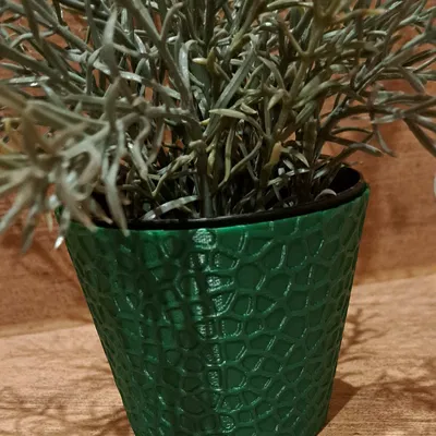 Chậu Hoa "Voronoi Vase"