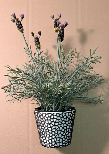 Chậu Hoa 2 Màu + Chậu Hoa Voronoi - Image 1