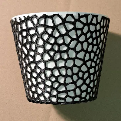 Chậu Hoa 2 Màu + Chậu Hoa Voronoi